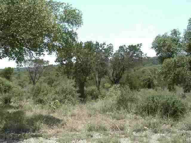 Lots 30, 31, 32 Hedges Dr., Cottonwood Shores, TX 78657