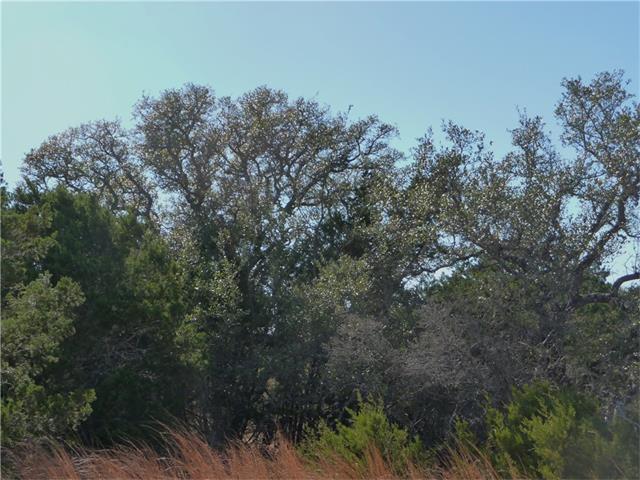 49 Ranch View TRL, Wimberley, TX 78676