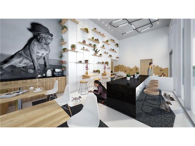 301 West AVE, Austin, TX 78703