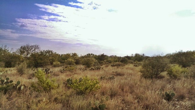 628 Deer Valley Ranch Road, Uvalde, TX 78801