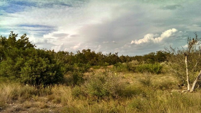 628 Deer Valley Ranch Road, Uvalde, TX 78801
