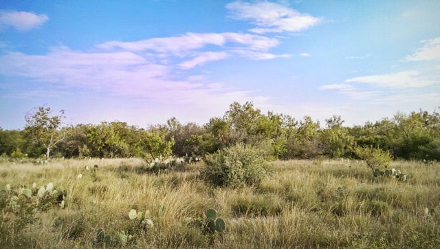 628 Deer Valley Ranch Road, Uvalde, TX 78801