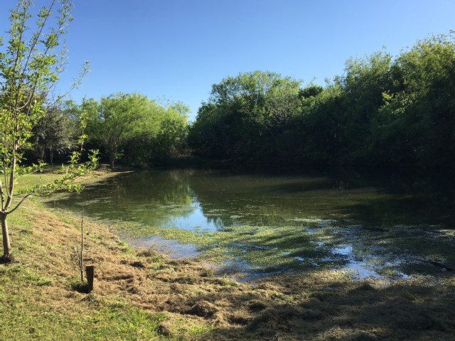 4516 Highway 1867, Batesville, TX 78829