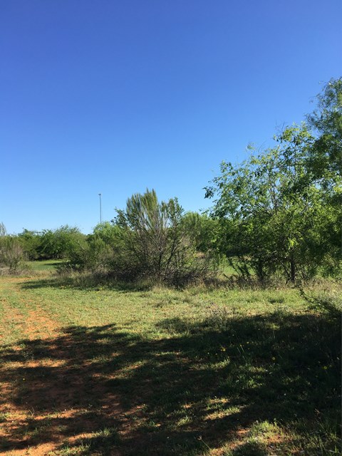 4516 Highway 1867, Batesville, TX 78829