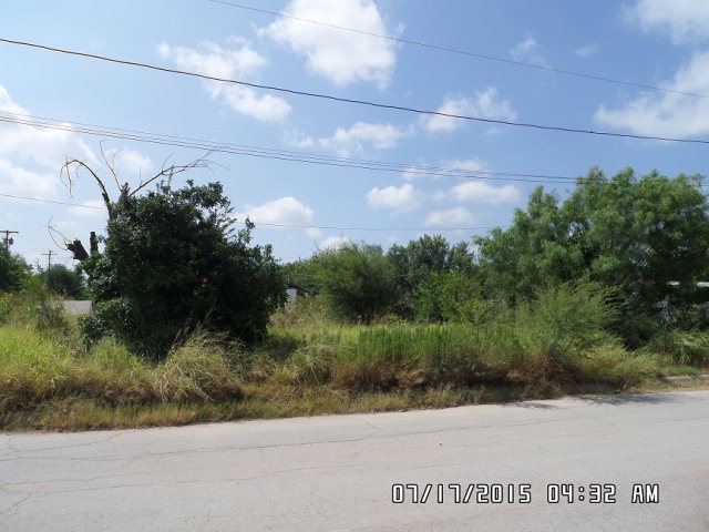 1510 Nicholson Ave, Carrizo Springs, TX 78834