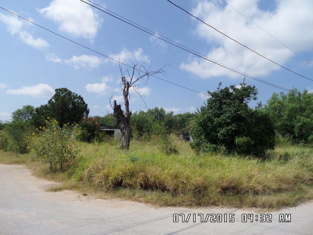 1510 Nicholson Ave, Carrizo Springs, TX 78834