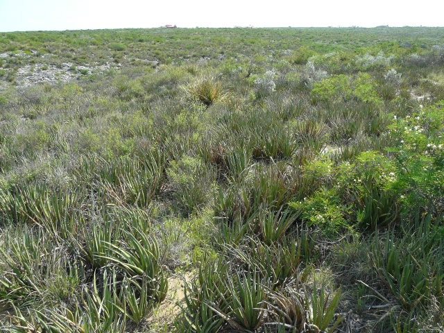 Comanche Tr Rough Canyon, Del Rio, TX 78840