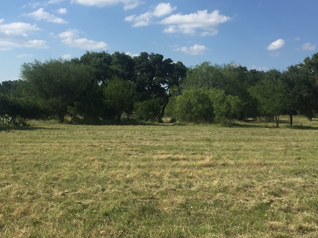 00 FM 1120, Rio Frio, TX 78879