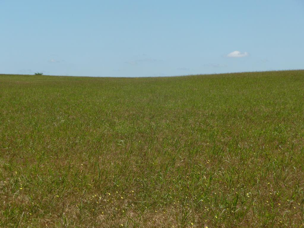 4336 Fm 2502, Bleiblerville, TX 78931