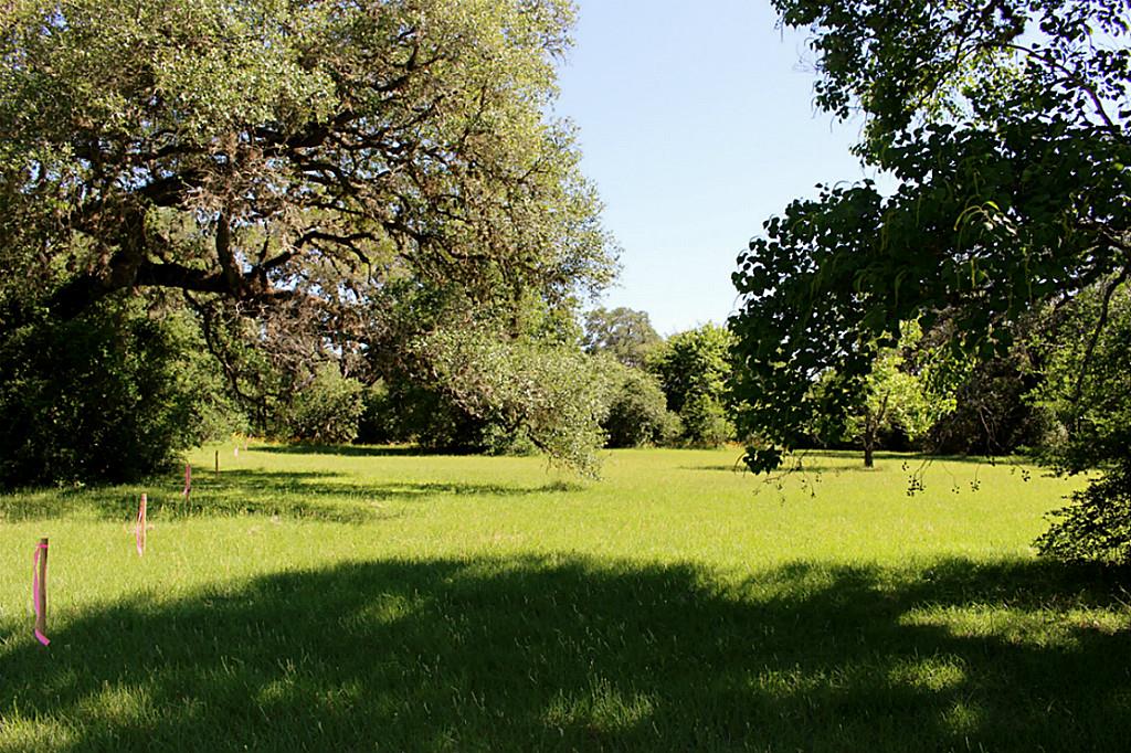 Tract 01 Montezuma, Columbus, TX 78934
