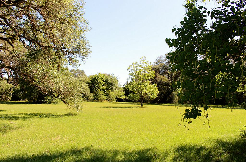 Tract 01 Montezuma, Columbus, TX 78934