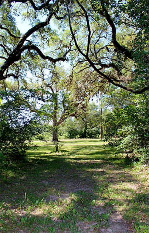 Tract 01 Montezuma, Columbus, TX 78934