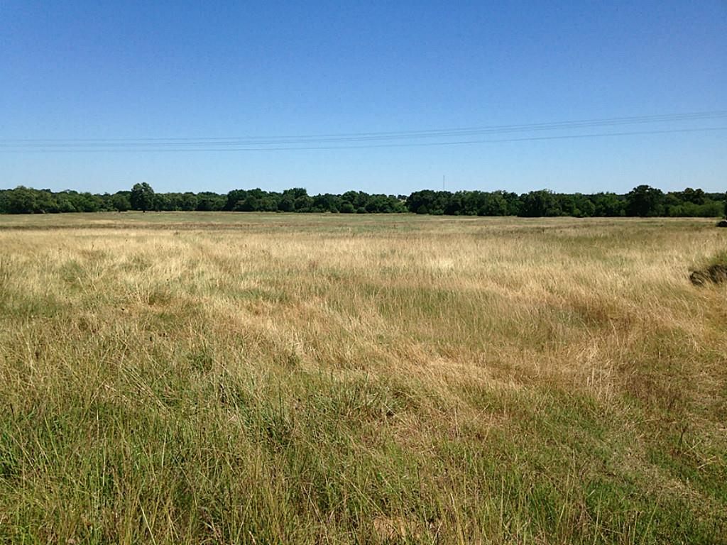 1 Allen, Muldoon, TX 78949