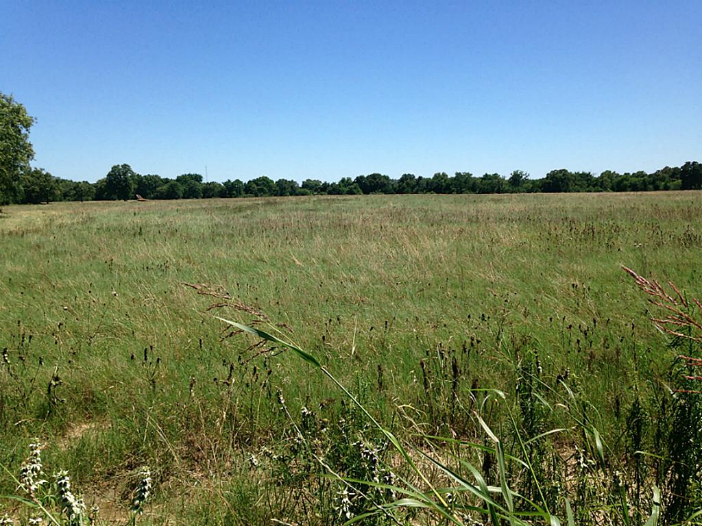 1 Allen, Muldoon, TX 78949