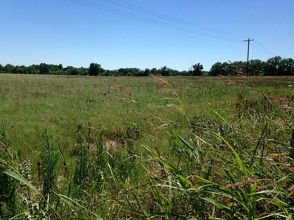 1 Allen, Muldoon, TX 78949