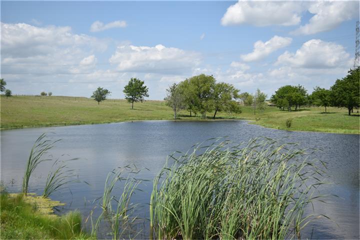7675 N US Hwy 77, Schulenburg, TX 78956
