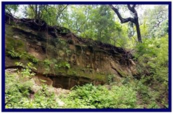 0000 County Road 218, Weimar, TX 78962