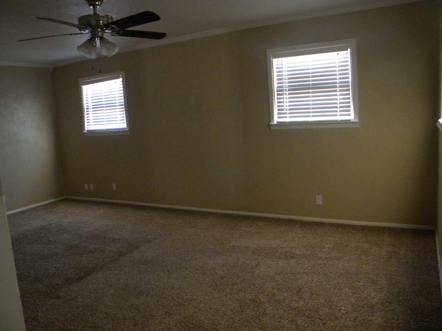 209 Detroit Drive, Levelland, TX 79336