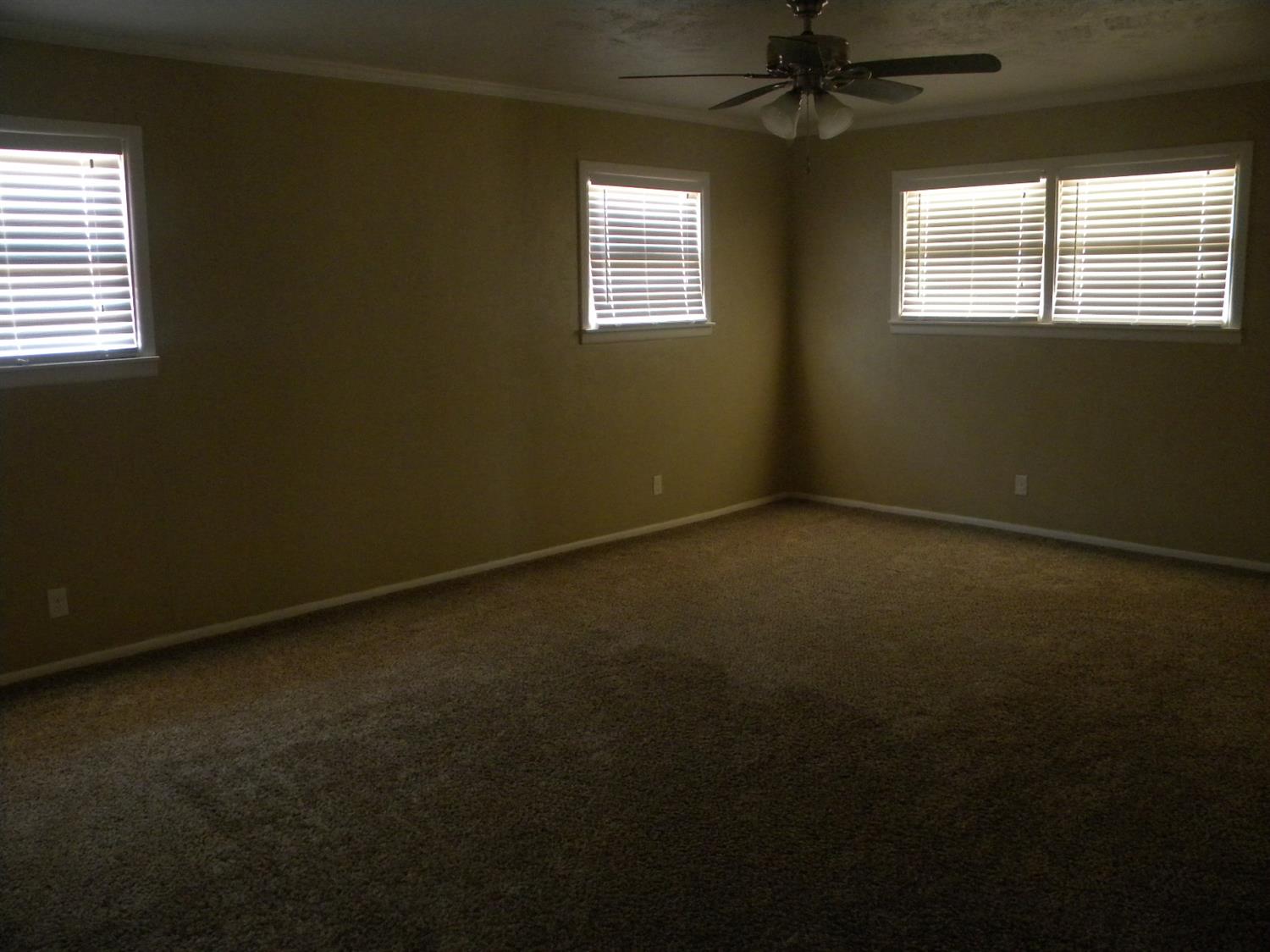 209 Detroit Drive, Levelland, TX 79336
