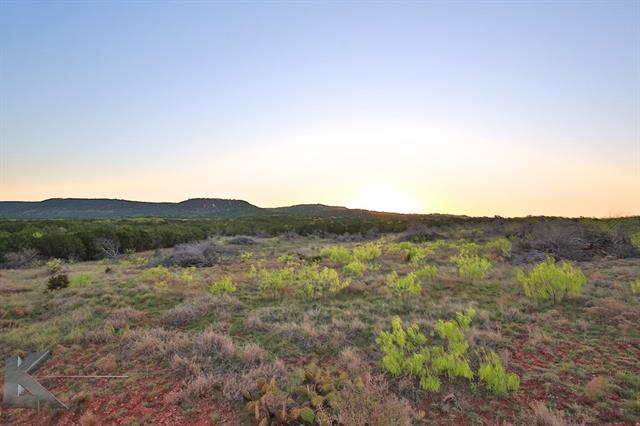 120 Western Trail, Buffalo Gap, TX 79508