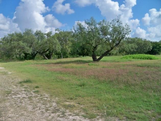 213 5th Street, Novice, TX 79538