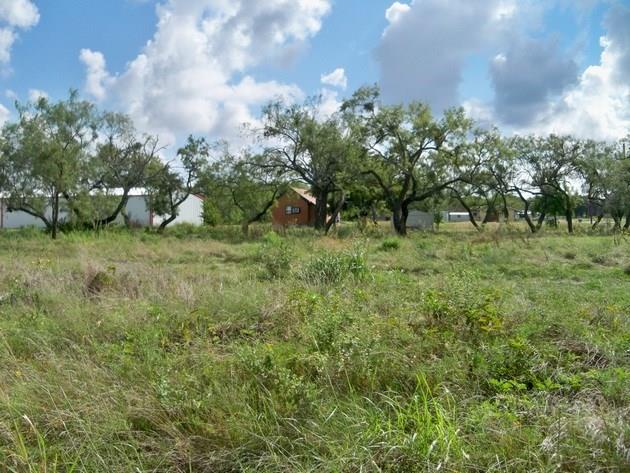 213 5th Street, Novice, TX 79538