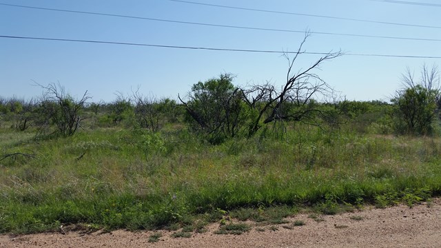 Snyder, TX 79549