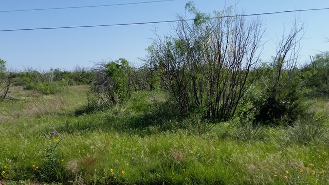 Snyder, TX 79549