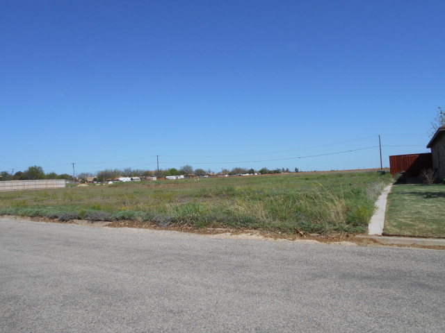 0000Preston Dr, Snyder, TX 79549