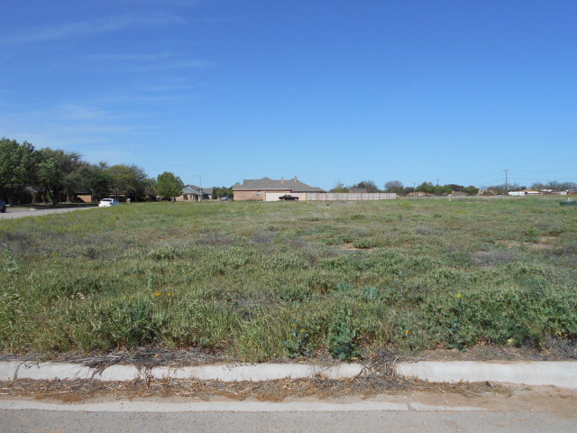 0000Preston Dr, Snyder, TX 79549
