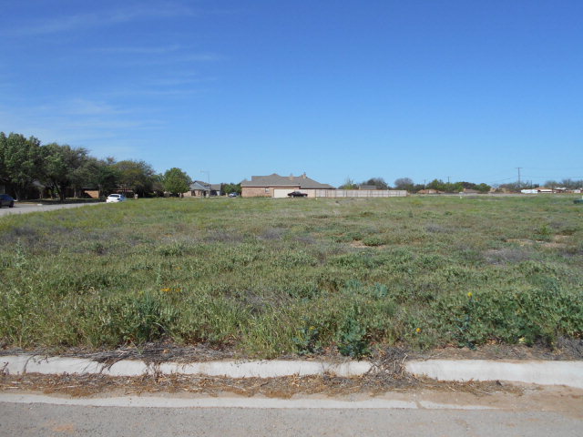 0000Preston Dr, Snyder, TX 79549