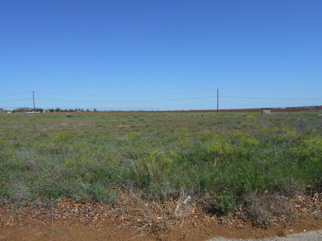 0000Preston Dr, Snyder, TX 79549