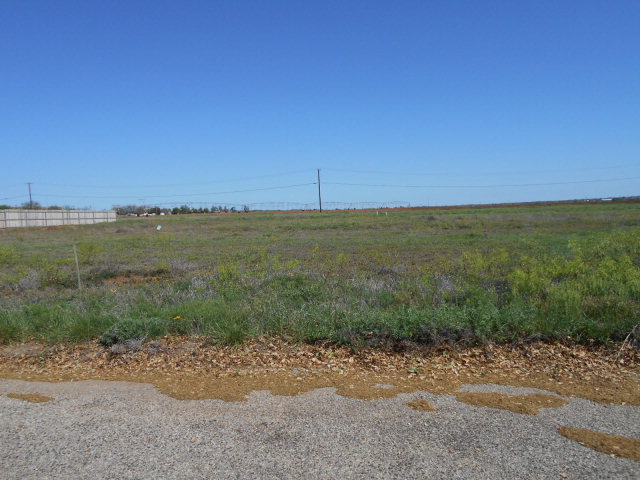 0000Preston Dr, Snyder, TX 79549