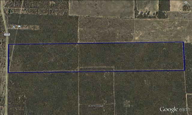 1803 State Highway 351