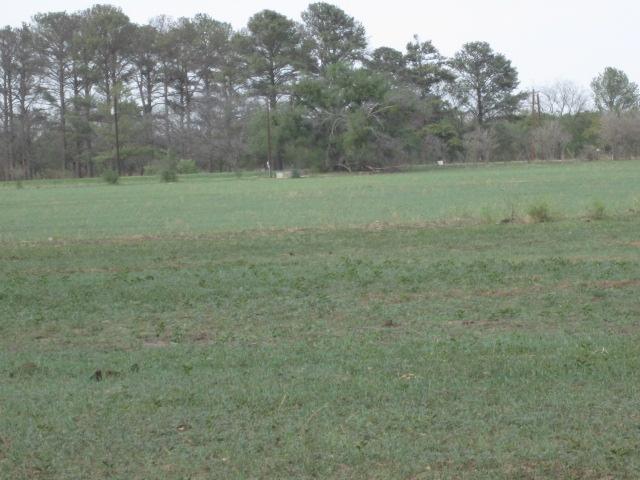 11164 County Road 348