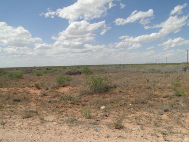 3812 Timber Wolf Trail