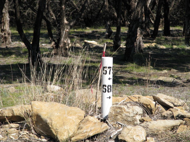 7103 Fm 307