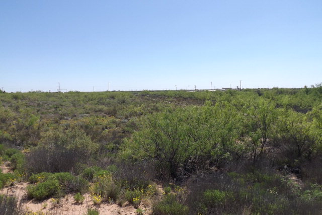 n S County Rd 1265, Midland, TX 79706