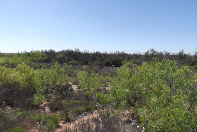 n S County Rd 1265, Midland, TX 79706