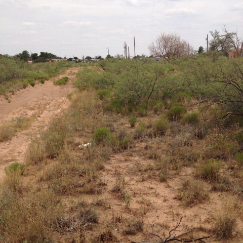 0 W County Rd 60