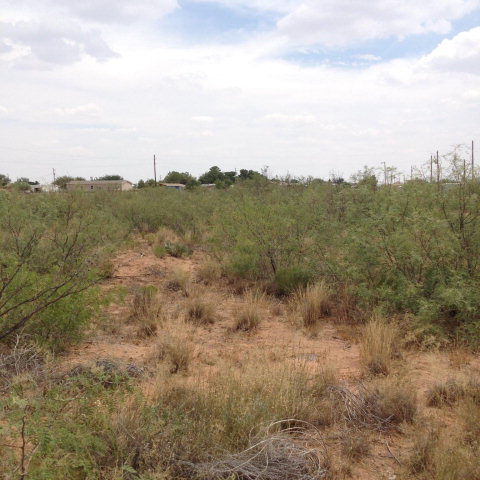 0 W County Rd 60