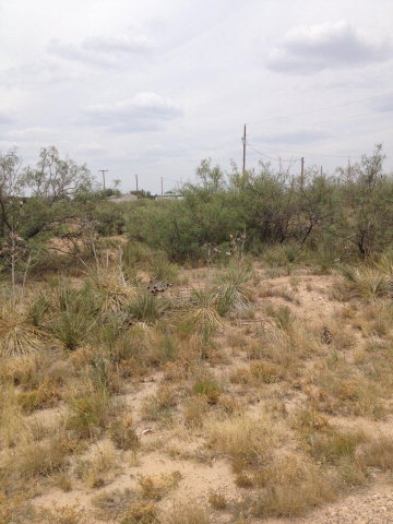 0 W County Rd 60