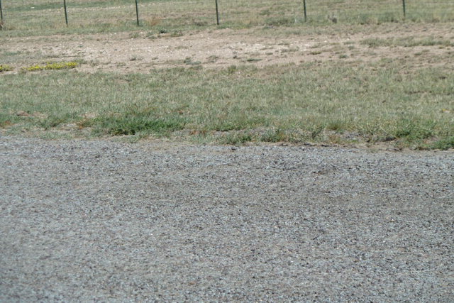 102 Captain Cooney, Fort Davis, TX 79734