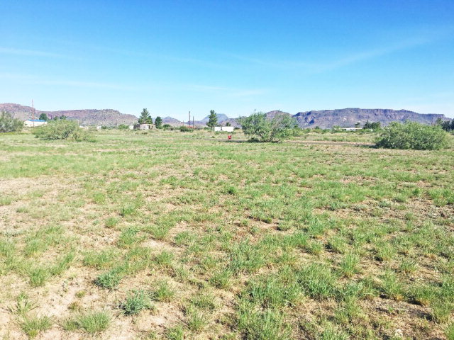 Lot 8 N Quail Ridge Rd, Alpine, TX 79830