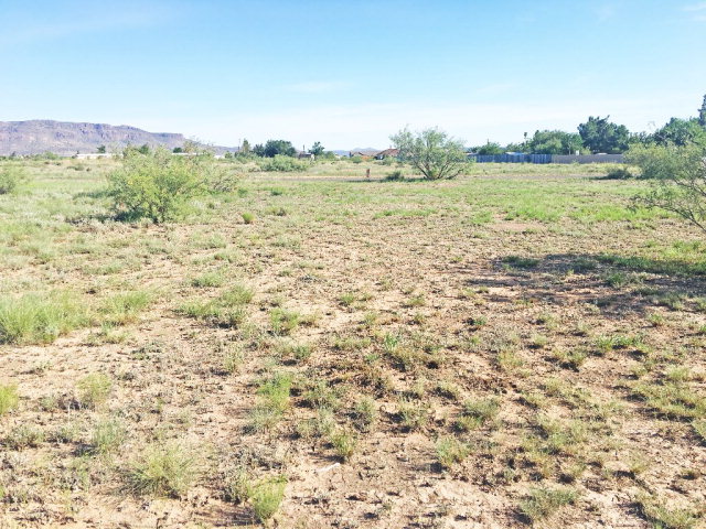 Lot 8 N Quail Ridge Rd, Alpine, TX 79830