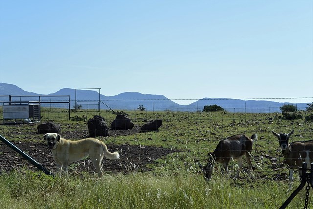 112 Circle Dr, Alpine, TX 79830