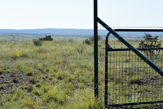 112 Circle Dr, Alpine, TX 79830