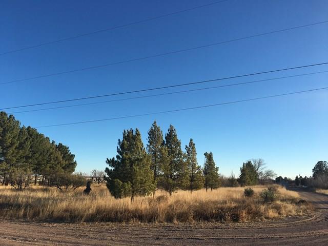 602 E Salgado St, Marfa, TX 79843