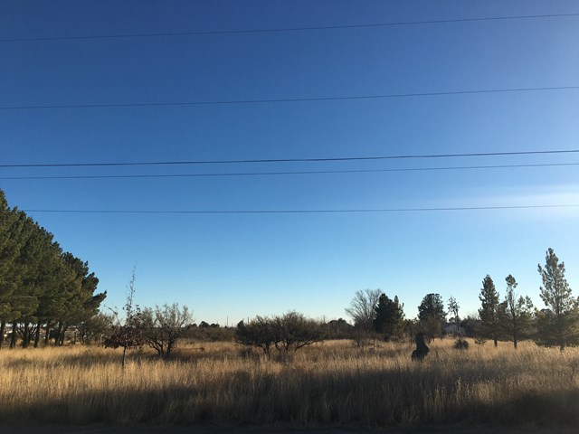 602 E Salgado St, Marfa, TX 79843