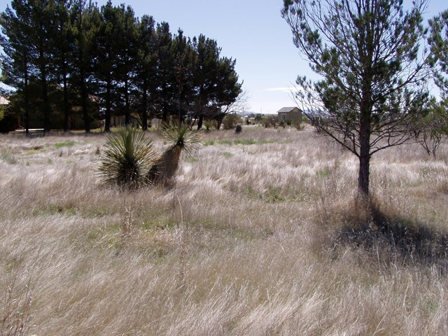602 E Salgado St, Marfa, TX 79843
